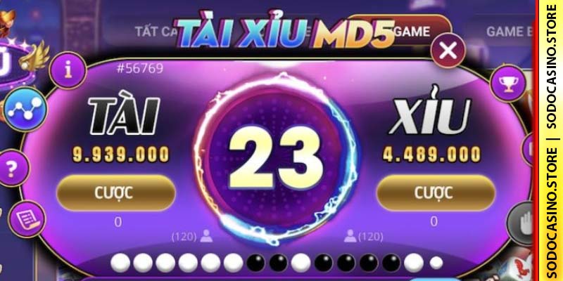 Tài xỉu MD5 - game tài xỉu đỉnh cao 2025